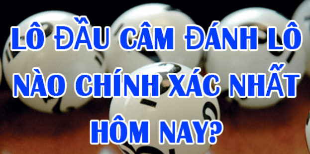 lo cam danh con gi