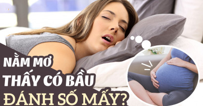 Mơ thấy có bầu là điềm lành hay dữ? Đánh con gì dễ vào nhất?