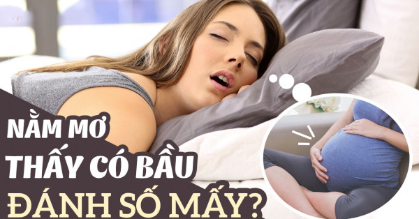 Mơ thấy có bầu là điềm lành hay dữ? Đánh con gì dễ vào nhất?