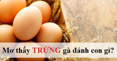 Khám phá bí ẩn đằng sau giấc mơ trứng gà? Mơ thấy trứng gà đánh con gì tiền tài khởi sắc?
