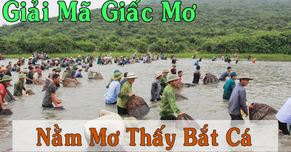 Chiêm bao thấy bắt cá mang điềm báo hên hay rủi? Mơ thấy bắt cá đánh con gì cập bến an toàn?