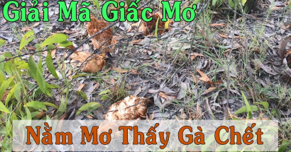 Luận giải giấc mơ thấy gà chết - Mơ thấy gà chết đánh con gì ?
