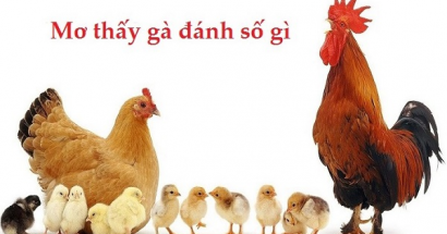 Mơ thấy gà đánh con gì để vào bờ thành công?