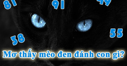 Mơ thấy mèo đen đánh con gì? Ý nghĩa giấc mơ thấy mèo đen
