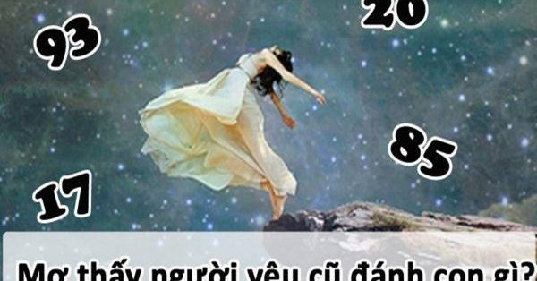 Mơ thấy người yêu cũ đánh con gì