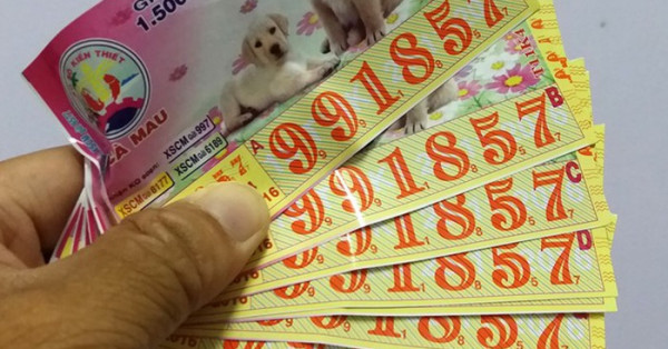 Mơ thấy số đề đánh con gì? Luận giải giấc mơ thấy số đề